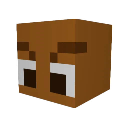 coachseb Minecraft avatar head, 3D render
