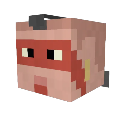 coaladunga Minecraft avatar head, 3D render