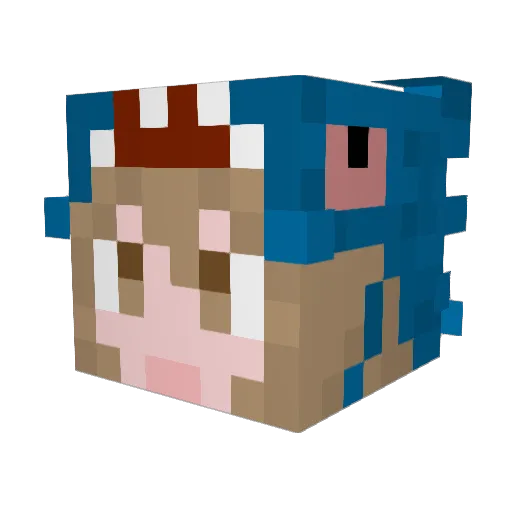 coaoj Minecraft avatar head, 3D render