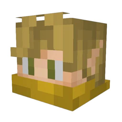coatbee33 Minecraft avatar head, 3D render
