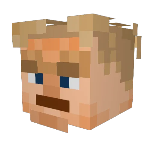 cobble4lyfe Minecraft avatar head, 3D render