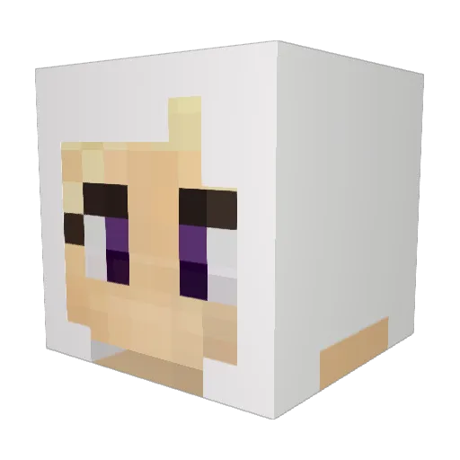 cobbo14 Minecraft avatar head, 3D render