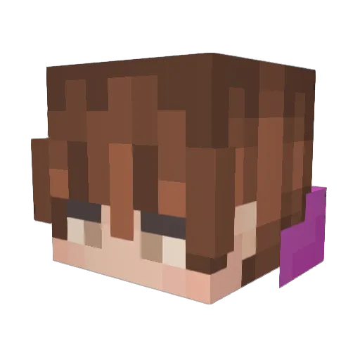 cobwebskull Minecraft avatar head, 3D render