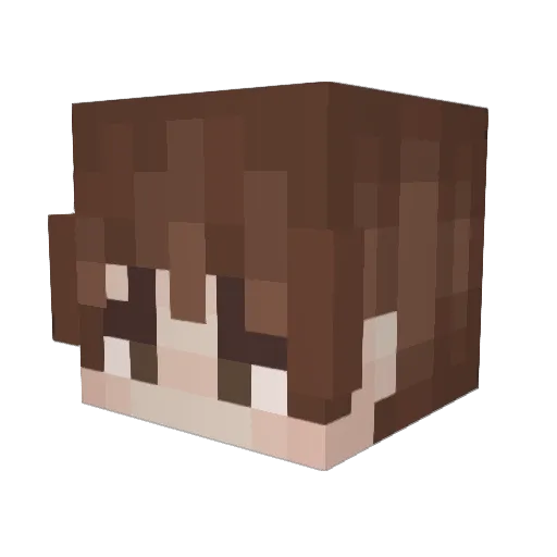 cobwebtv Minecraft avatar head, 3D render