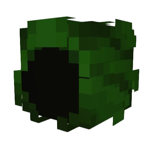 cocafk Minecraft avatar head, 3D render