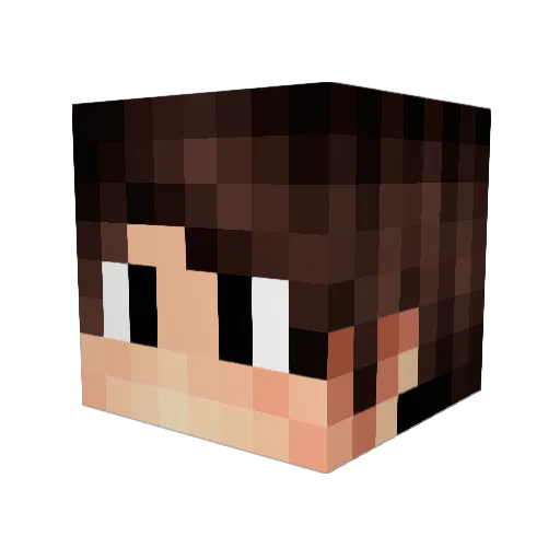 cochinoleon Minecraft avatar head, 3D render