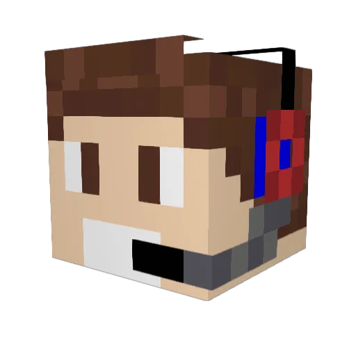 cochon_Tom Minecraft avatar head, 3D render
