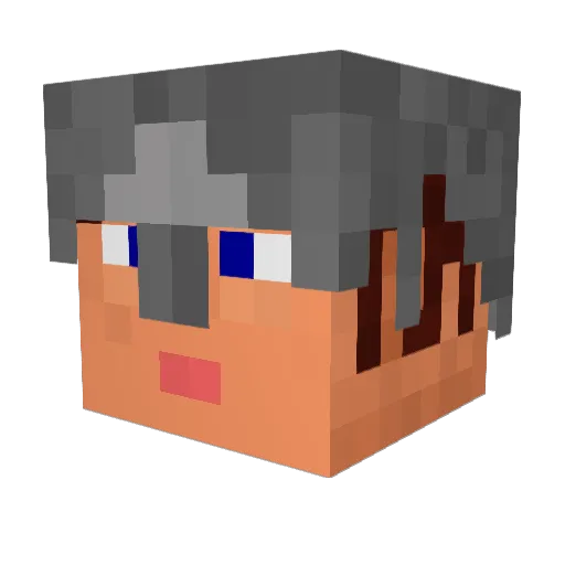 cockmodiddly Minecraft avatar head, 3D render