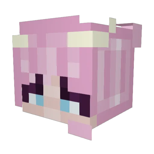 coco2099 Minecraft avatar head, 3D render