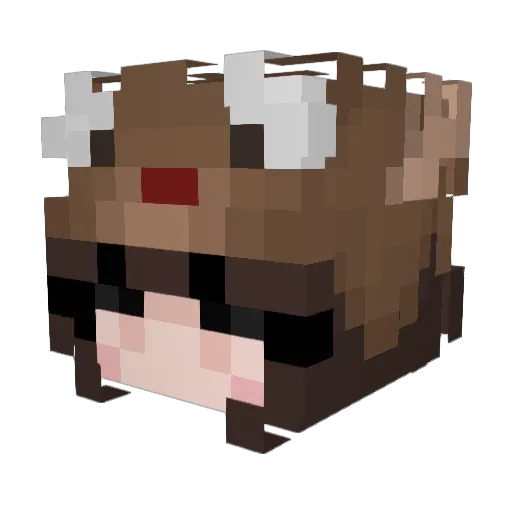 coco22222 Minecraft avatar head, 3D render