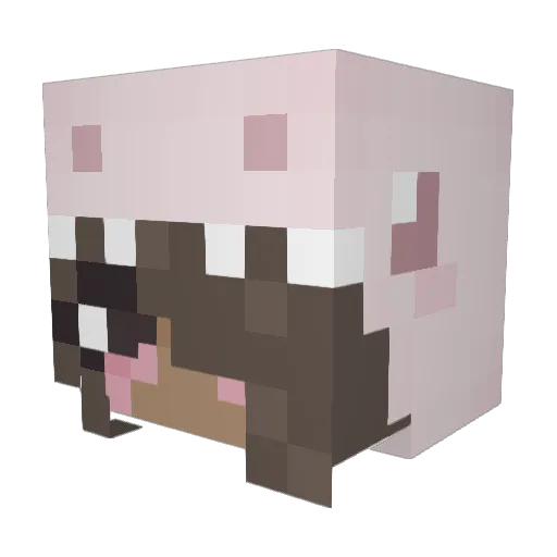 coco8135 Minecraft avatar head, 3D render