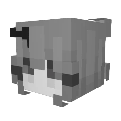coco_beanzz Minecraft avatar head, 3D render