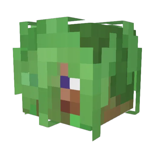 coco_coda Minecraft avatar head, 3D render