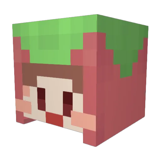 cocoa9706 Minecraft avatar head, 3D render