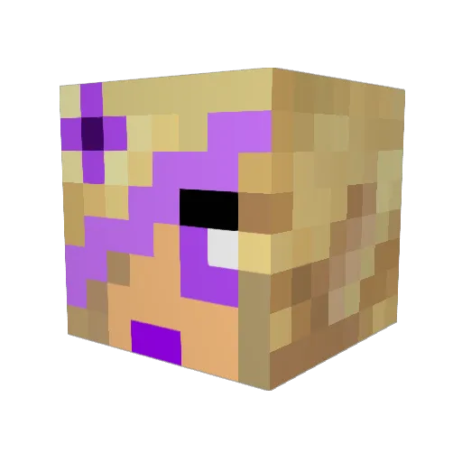 cocoacita Minecraft avatar head, 3D render