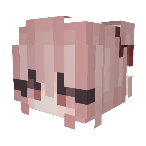 cocoamolang Minecraft avatar head, 3D render