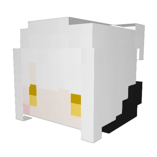 cocoasann2 Minecraft avatar head, 3D render