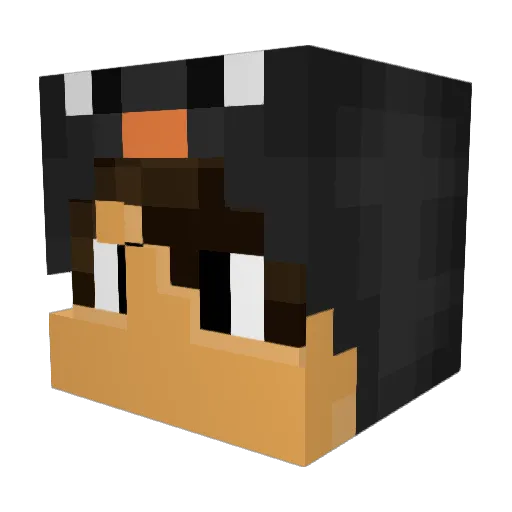 cocobird2000 Minecraft avatar head, 3D render