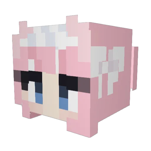 cocococat Minecraft avatar head, 3D render