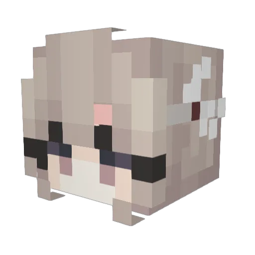 cococoo Minecraft avatar head, 3D render