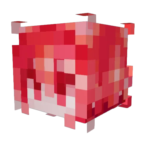 cocoisacat Minecraft avatar head, 3D render