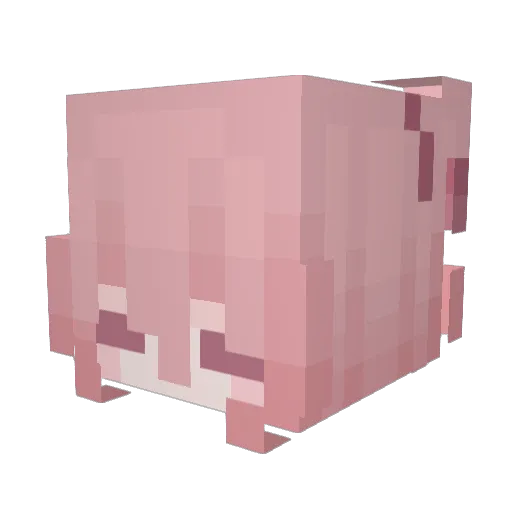 cocoleah Minecraft avatar head, 3D render