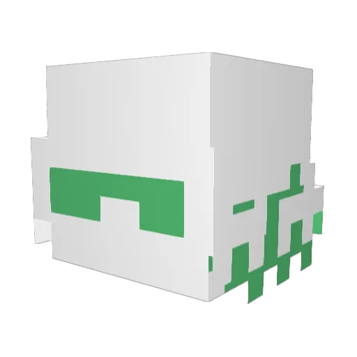 cocomelonutts Minecraft avatar head, 3D render