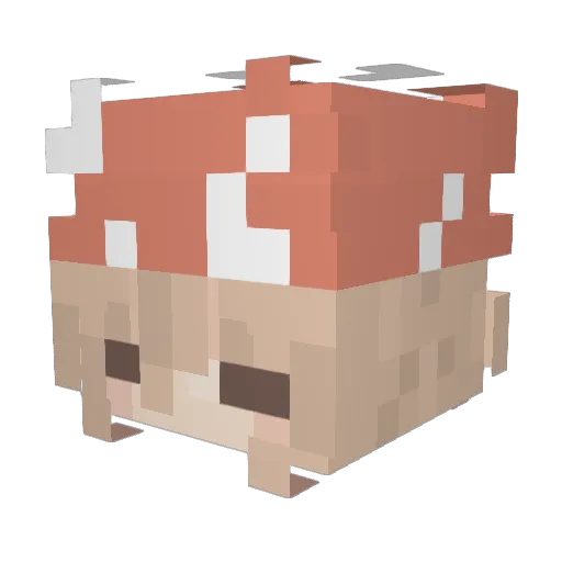 cocomeow Minecraft avatar head, 3D render