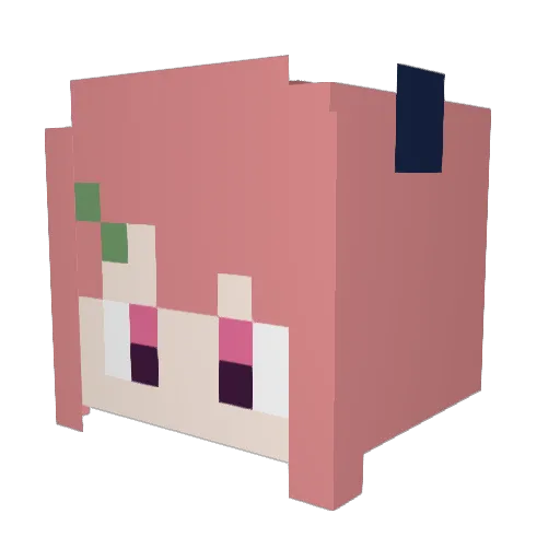 coconasan39 Minecraft avatar head, 3D render