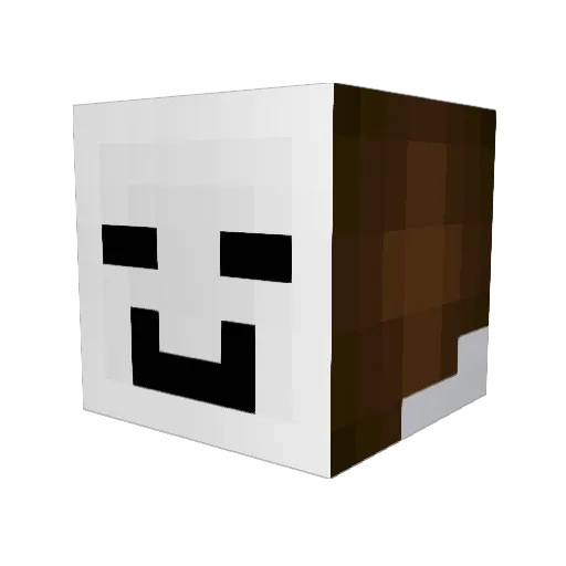 coconirt Minecraft avatar head, 3D render