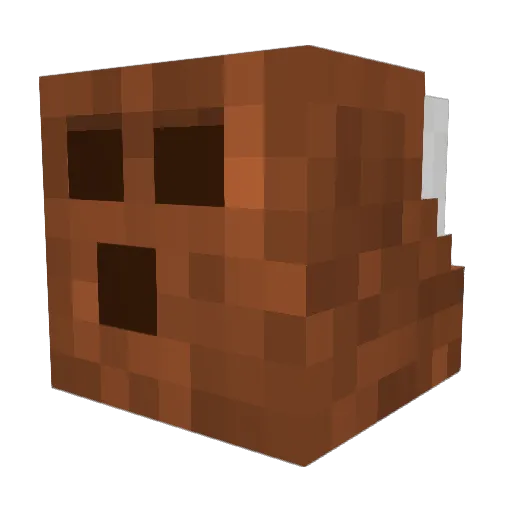 coconut077 Minecraft avatar head, 3D render