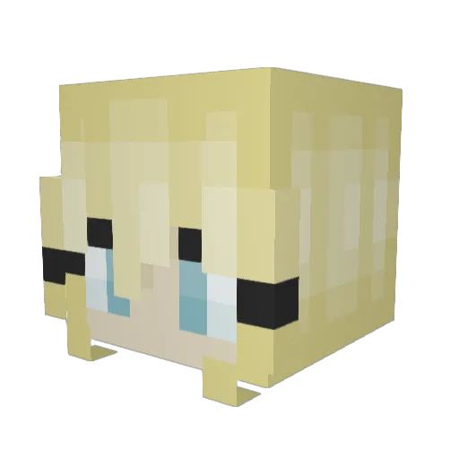 coconut3510 Minecraft avatar head, 3D render