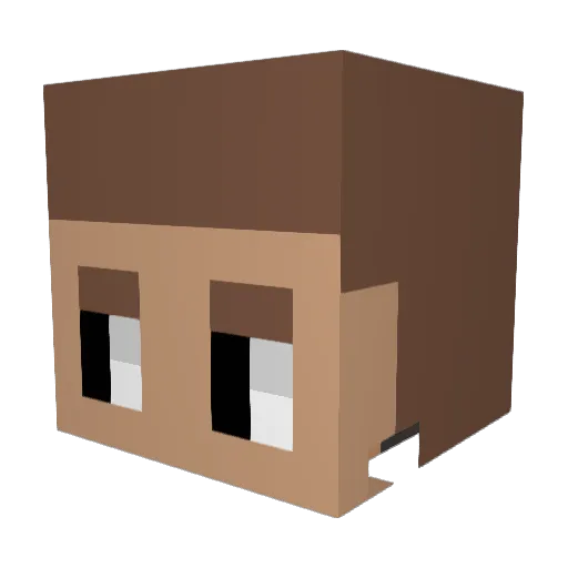 coconut364 Minecraft avatar head, 3D render