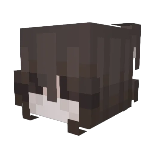 coconutatemycat Minecraft avatar head, 3D render