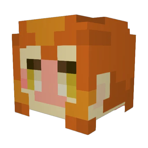 coconutbreakfast Minecraft avatar head, 3D render