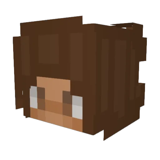 coconutfroot Minecraft avatar head, 3D render