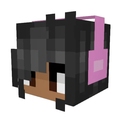 coconutpudy Minecraft avatar head, 3D render