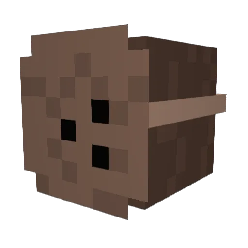 coconuts132 Minecraft avatar head, 3D render