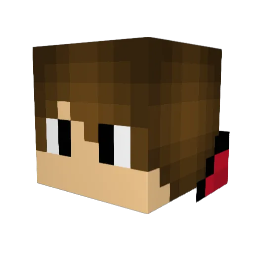 coconuts42 Minecraft avatar head, 3D render