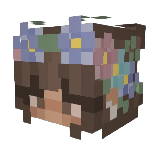coconutwatur Minecraft avatar head, 3D render