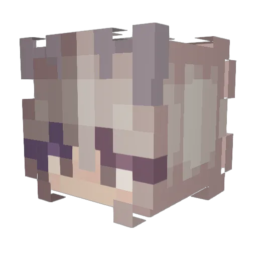 coconyan_des Minecraft avatar head, 3D render