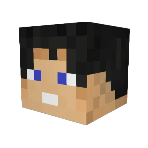 cocoool Minecraft avatar head, 3D render