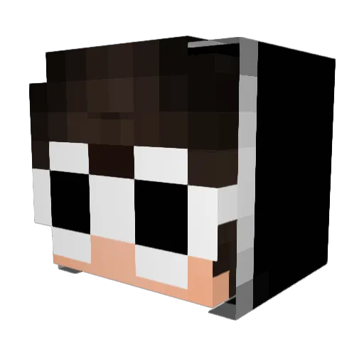 cocopera Minecraft avatar head, 3D render