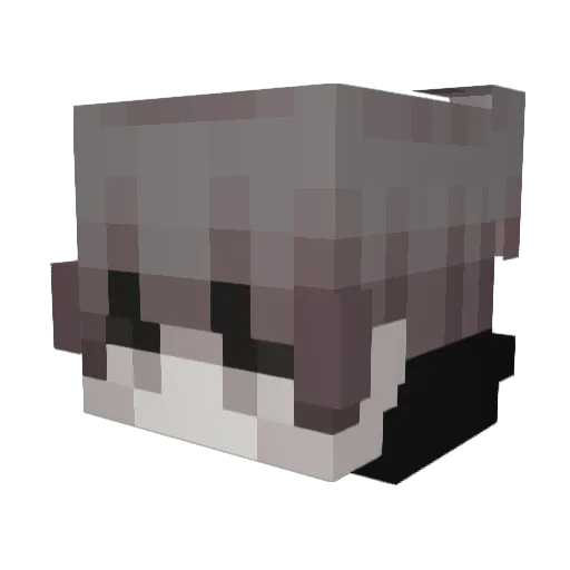 cocopuffs Minecraft avatar head, 3D render