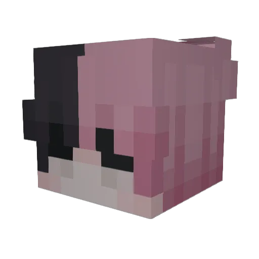 cocos1 Minecraft avatar head, 3D render