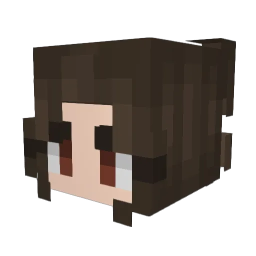 codacLOLlipop17 Minecraft avatar head, 3D render