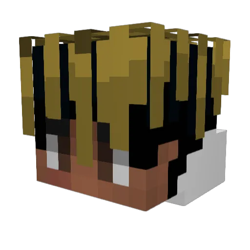codbo221 Minecraft avatar head, 3D render
