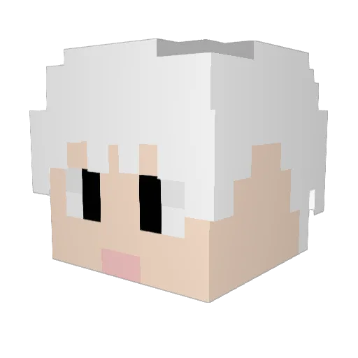 code255 Minecraft avatar head, 3D render