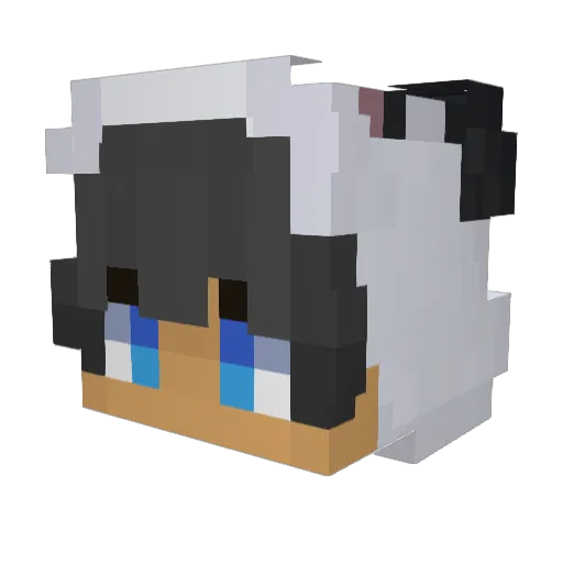 codeCountdown Minecraft avatar head, 3D render