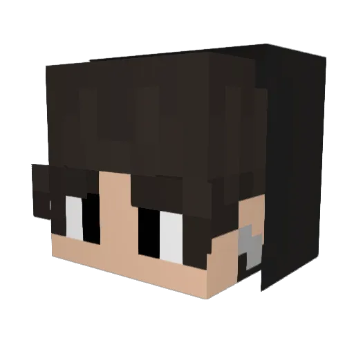 codeeeeee Minecraft avatar head, 3D render